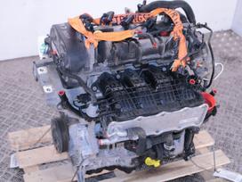 Volkswagen Golf, CHP, Variklis chp