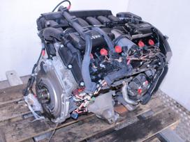 BMW 330, N52B30AF, Variklis n52b30af