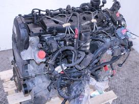 Volvo XC70, D5244T4, Variklis d5244t4