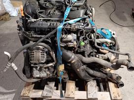 Volkswagen Passat, BZB, engine