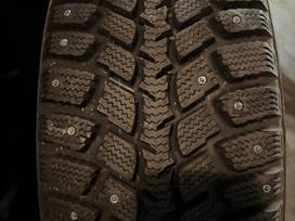 Marshal I’ZEN WIS KW19 Naujos!, winter 185/55 R15