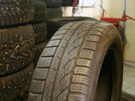Continental Conti Winter Contact TS810, žieminės 185/55 R16