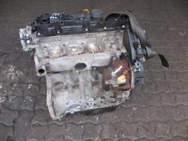 Ford Focus Variklis 1 6d t1da