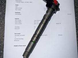 Audi A6, 0445116030 03L130277 PURKŠTUKAI, injection system