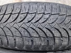 Nexen Winguard snow"G WH2, зимние 185/60 R15