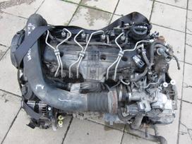 Volvo V50 Variklio kodas d5204t5