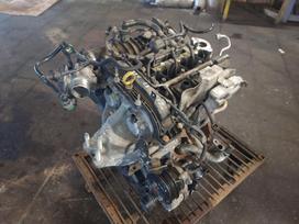 Ford B-MAX Variklis dalimis
