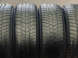 Barum Polaris 5, all-season 205/70 R15