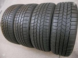 Continental 2024m 95% Winter Ts815*,