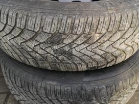 Continental, winter 195/65 R15