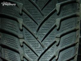 Dunlop, žieminės 205/50 R17