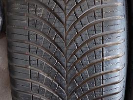 Goodyear, всесезонные 255/40 R19