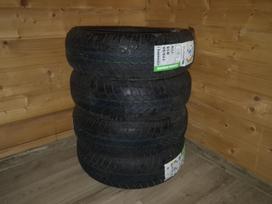GreenLander Icehawke I, žieminės 175/55 R15