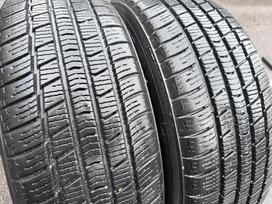 -Kita- Tecnica, all-season 185/60 R15