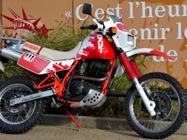 Suzuki DR, enduro / adventure