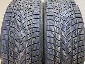Gripmax Pro Winter, зимние 235/50 R20