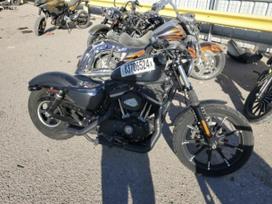 Harley-Davidson Sportster, choppers / cruisers / custom