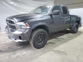 Dodge Ram Spalva pau