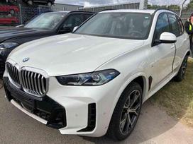 BMW X5, WBA21EU03R9U94406, dalimis. spalvos kodas a96 mineralweiß metallic detaliu pris