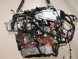 Ford Kuga, YMDA, variklis