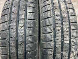 Fortuna, winter 175/65 R15