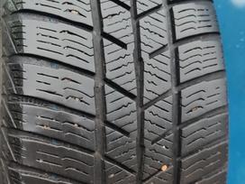 Barum POLARIS 5, winter 195/65 R15