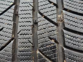 Zeetex WP1000, зимние 195/50 R15