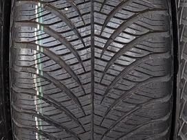 Goodyear, vissezonas 225/45 R17
