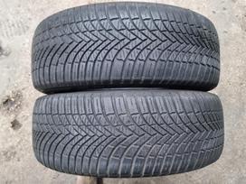 Firestone Multiseason, universalios 205/55 R17
