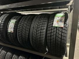 Doublestar DW09 NAUJOS, зимние 225/45 R18