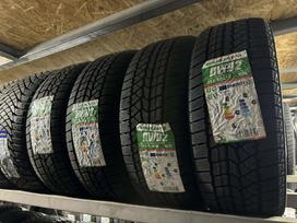 Doublestar DW02 NAUJOS, winter 215/55 R18