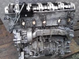 Volkswagen Transporter Axd naujas velenelis kompensatoriai salnikeliai velenelio id