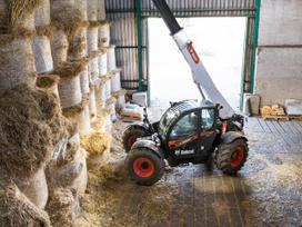 Bobcat Tl43.80hf, savaeigiai krautuvai