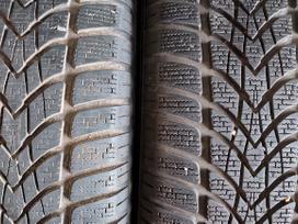 Dunlop, ziemas 205/55 R16