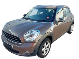 Mini Countryman Dalimis