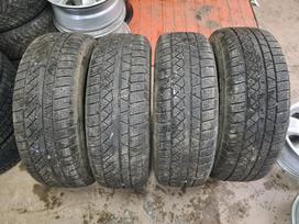 Petlas, žieminės 255/70 R16