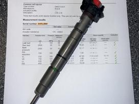 Audi A4, 0445115052 0445115037 0445115024 0445115, įpurškimo sistema