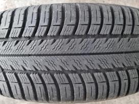 Goodyear Eagle Vector EV 2, žieminės 205/55 R16