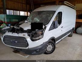 Ford Transit, cargo vans