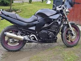 Suzuki GSX-F (Katana), superbikes