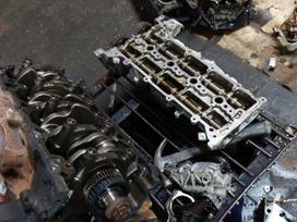 Ford Transit Custom variklio detalės
