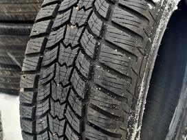 Sava, ziemas 225/50 R17
