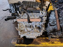 Nissan Qashqai, MR 20 DE, Rida 36000 miliu patikrintas variklio kodas mr 20 2011 metu
