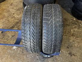 Vredestein Wintrac 4 Xtreme, žieminės 215/70 R16