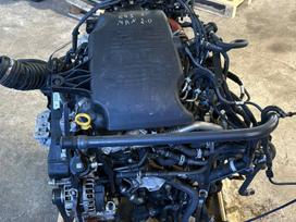 Volkswagen Crafter, DZMB, variklio detalės