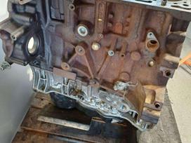 Ford Transit, YNR6, двигатель