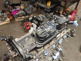 Ford C-MAX, XWDA, variklis