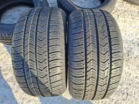 Ovation, всесезонные 195/55 R10