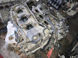 Ford Edge 3 5 variklis dalimis pradegusi galvos tarpinė