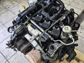 Ford Focus, M2DA, M2da 55 000km